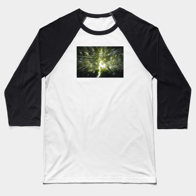 Bamboo Stems Baseball T-Shirt by withluke